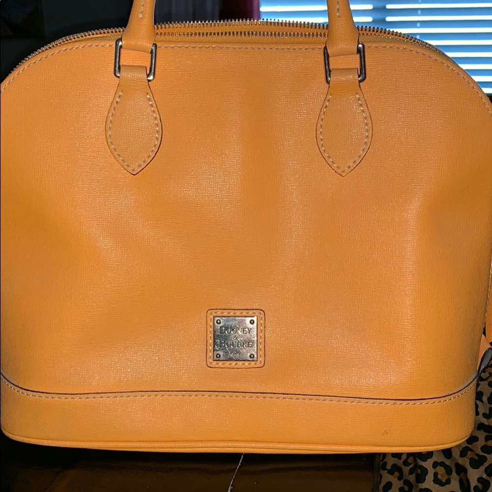 Dooney and bourke purse
